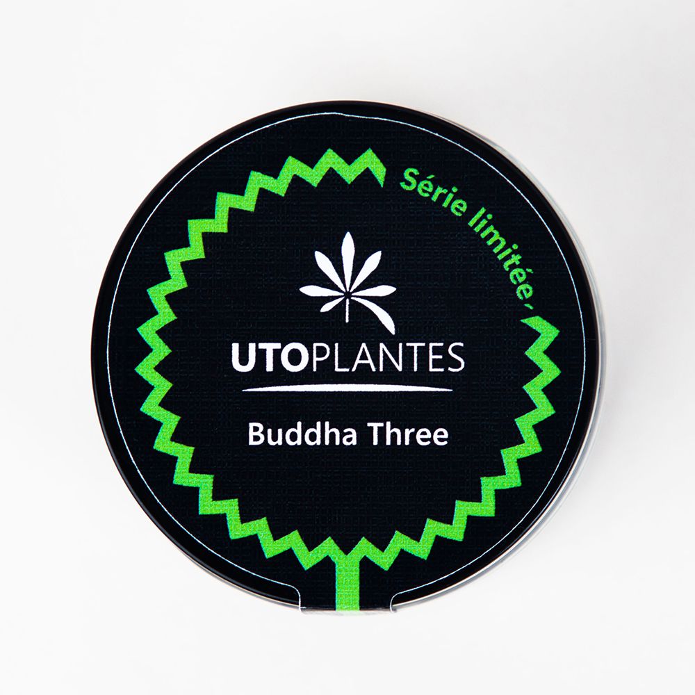 Fleurs de CBD - 8 à 10% - Buddha Three - Utoplantes