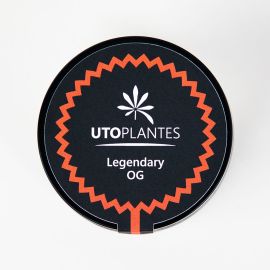 Fleurs de CBD - 8 à 10% - Legendery OG - Utoplantes