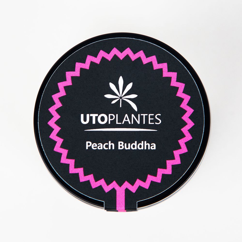 Fleurs de CBD - 8 à 10% - Peach Buddha - Utoplantes