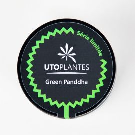 Fleurs de CBD - 8 à 10% - Green Panddha - Utoplantes