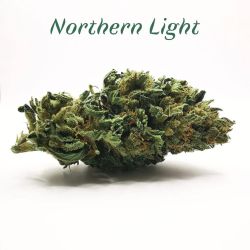 Fleurs de CBD - 6 à 8% - Northern Light - Les Plantes de Tomine